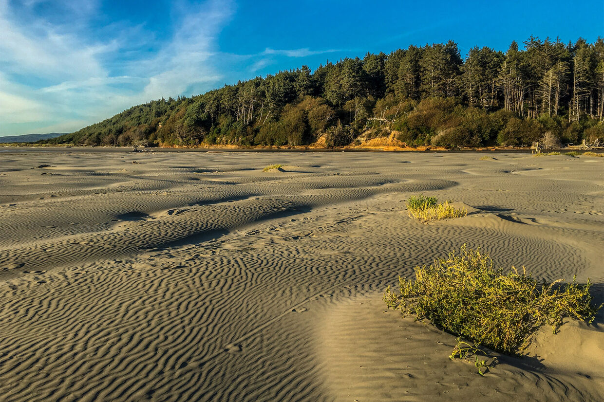 Moonstone Beach at Low Tide