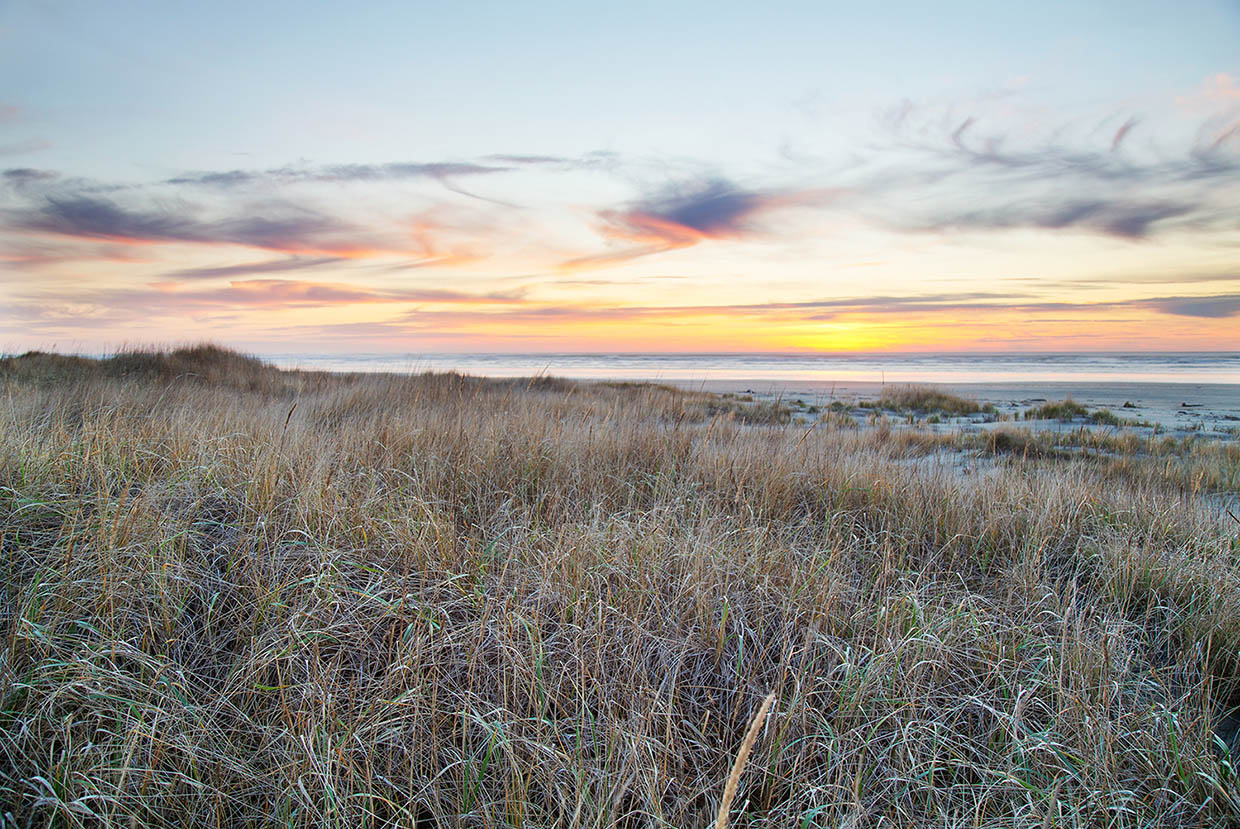 Kalaloch Area Coastline