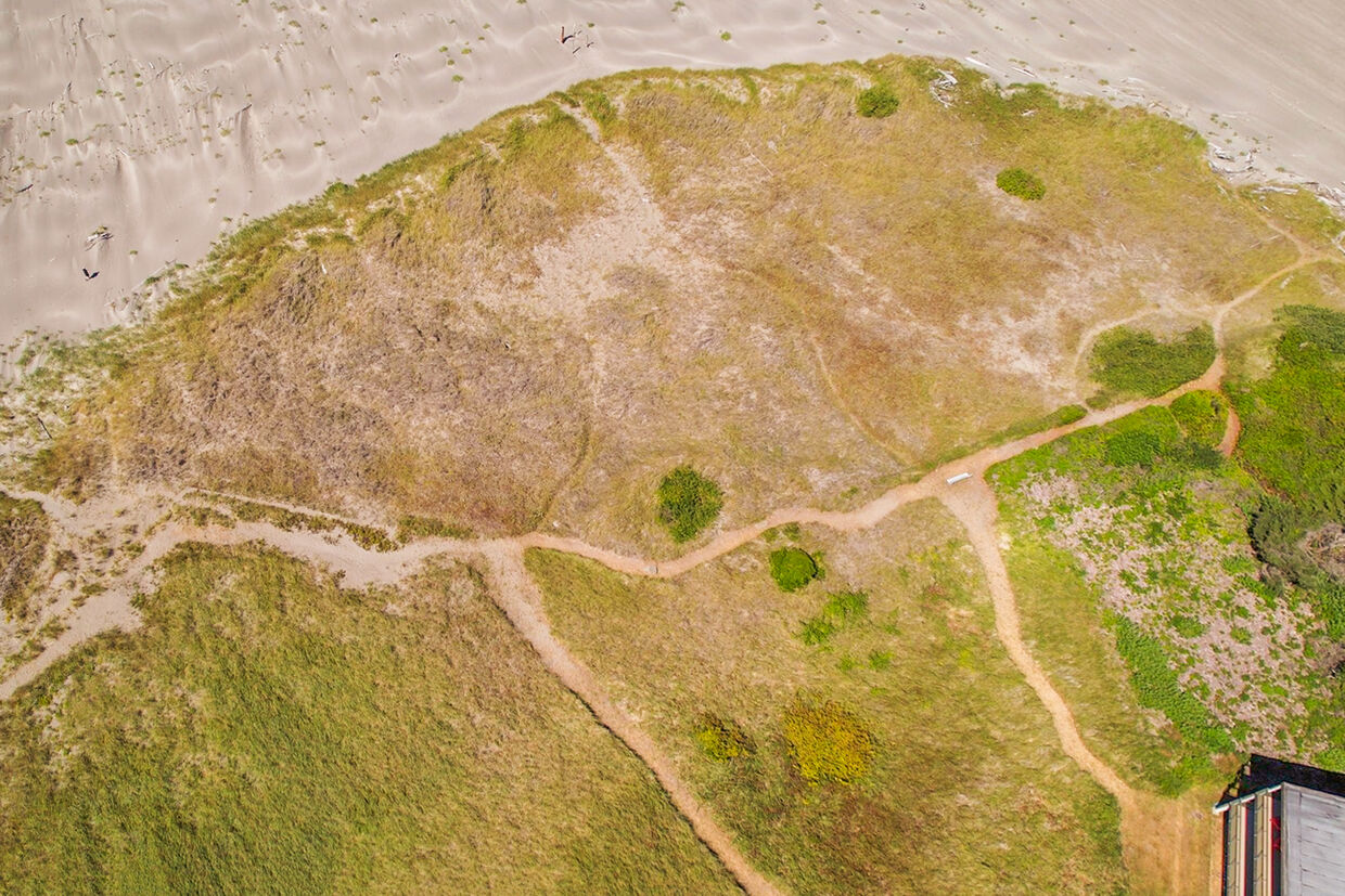 Coastline at Low Tide — Aerial